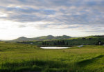 Spring on the Palouse