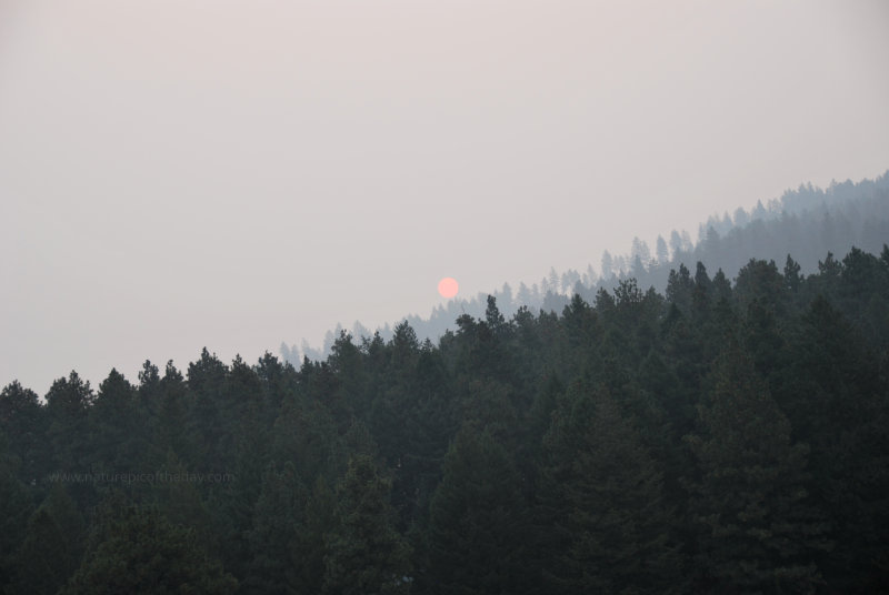 Smoke in the sky