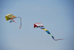 Sky Kites