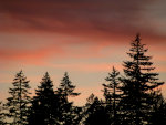 Pink Sunset in Washington