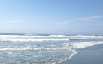 Pacific Ocean Waves