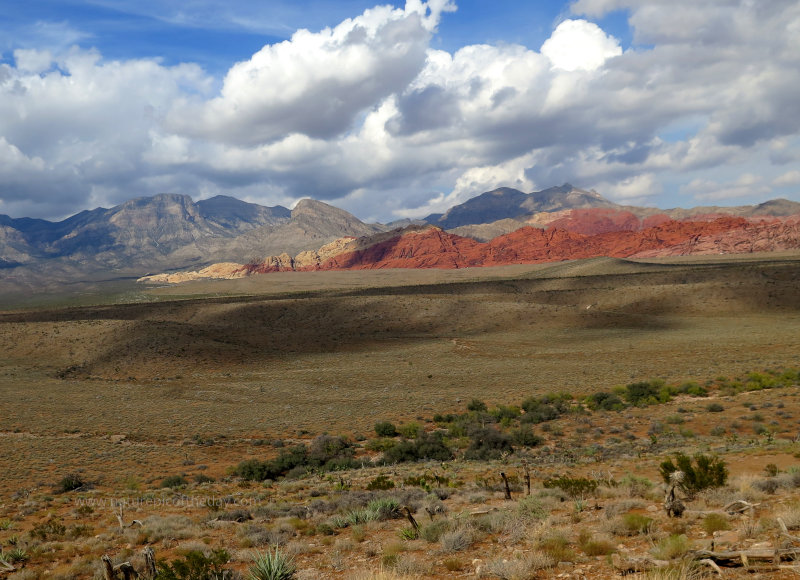 Red Rock Canyon near Las Vegas, NV