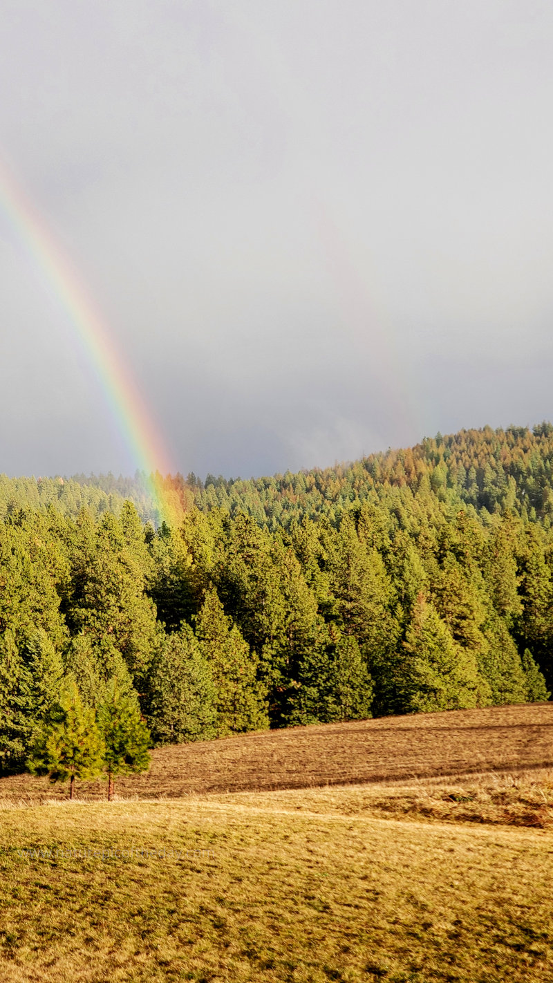 Rainbows