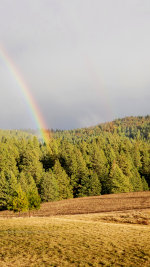 Rainbows