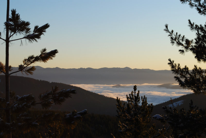 Montana Fog