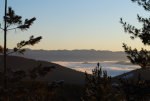 Montana Fog