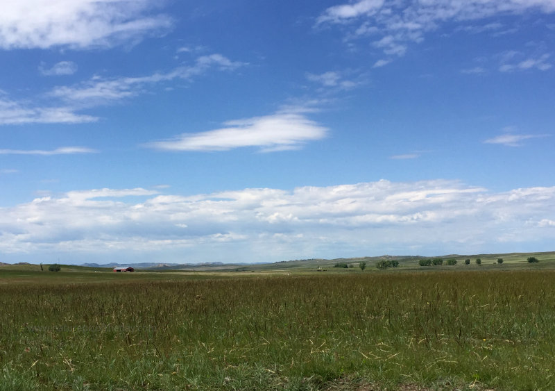 Montana Prairie