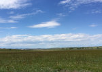 Montana Prairie