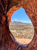 Desert in Sedona, Arizona