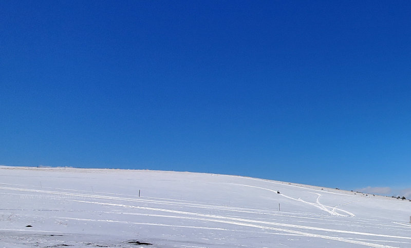 Snow