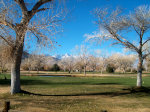 Sierra Nevada Mountains near Mono Lake