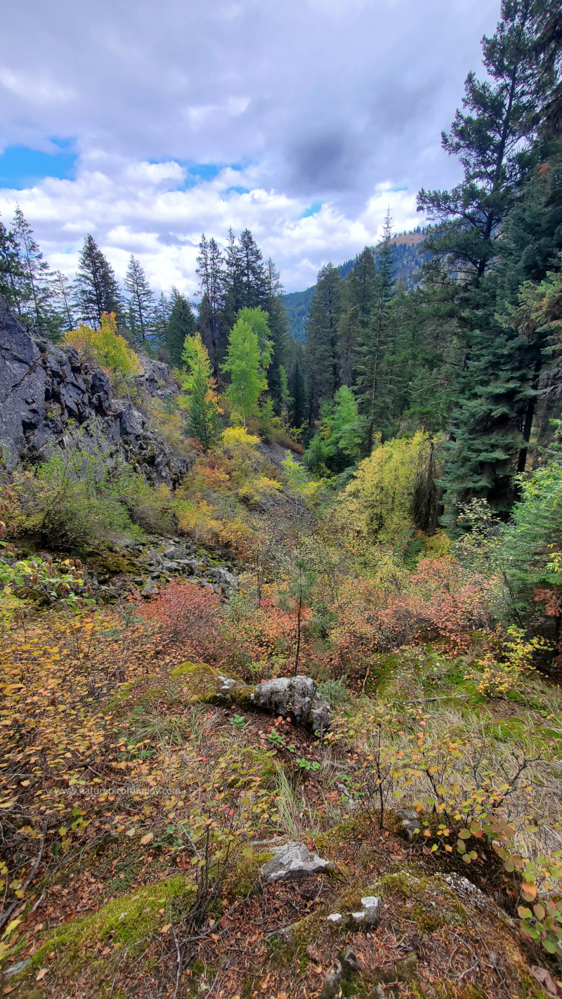 Near Joseph, OR