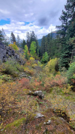 Near Joseph, OR