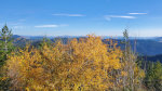 Autumn Bush in Idaho