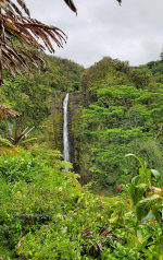 Akaka Falls in Hawaii