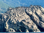Chuckanut Rock in Bellingham Bay