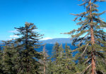 Lake Tahoe