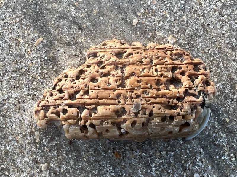 Fun with erosion