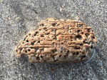Fun with erosion