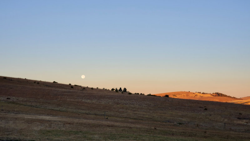 Setting moon