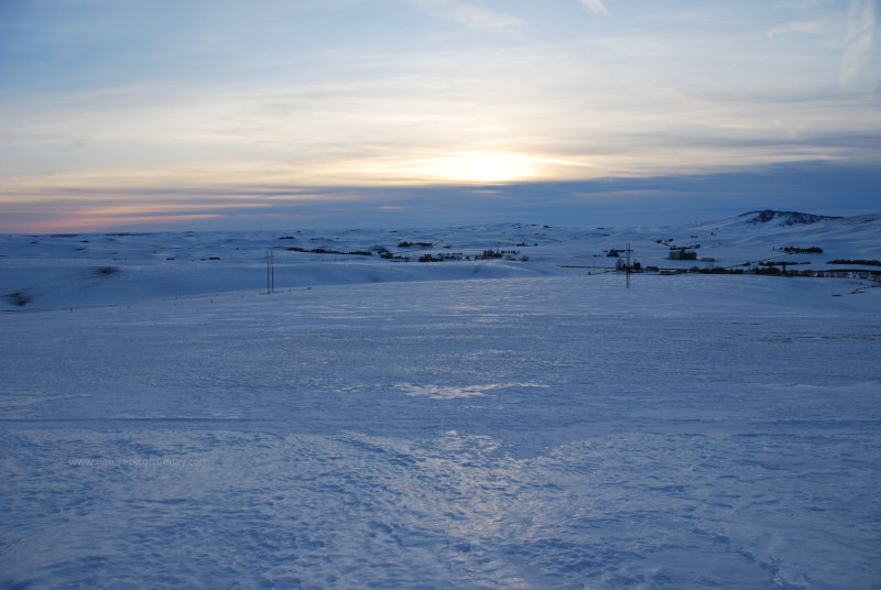 Winter on the Palouse