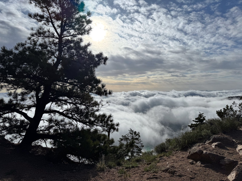 Mt. Muscoco in Colorado