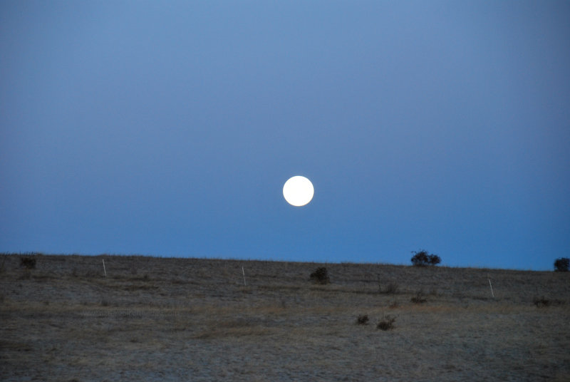 But not through the woods.