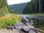 Selway River